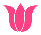 Palm Tree Removal Pros