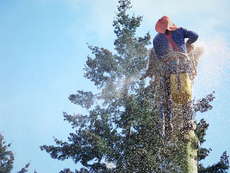 Apple Tree Removal in Pottstown, PA