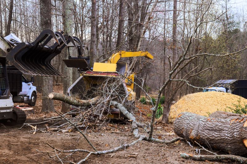 Cherry Tree Removal in Montgomery County, PA