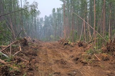Commercial Site Clearing in Marietta, GA