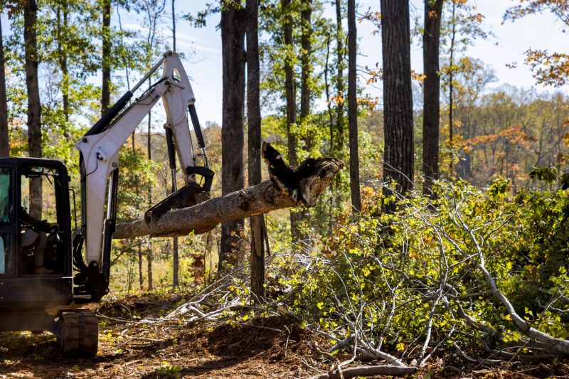 Construction Site Land Clearing in Cumming, GA