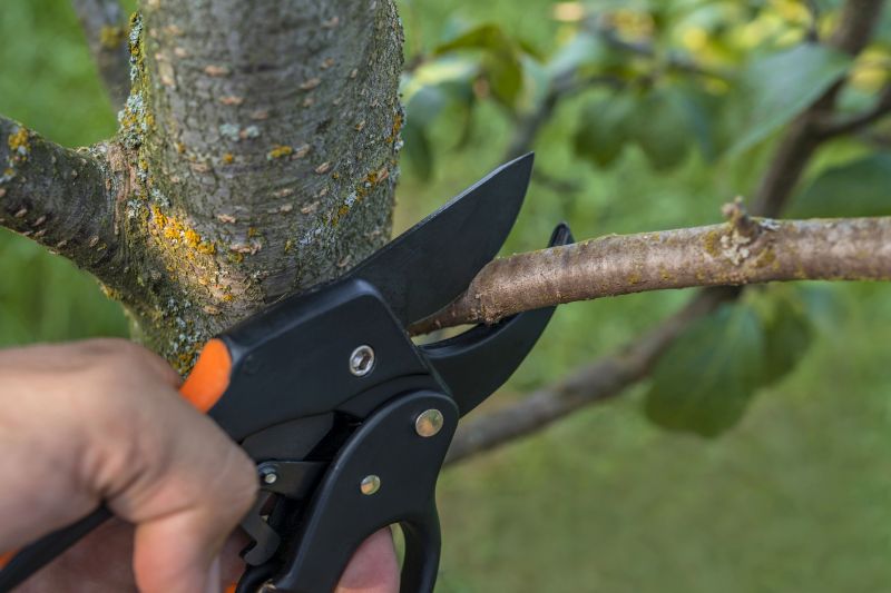 Dead Tree Removal in Montgomery County, PA