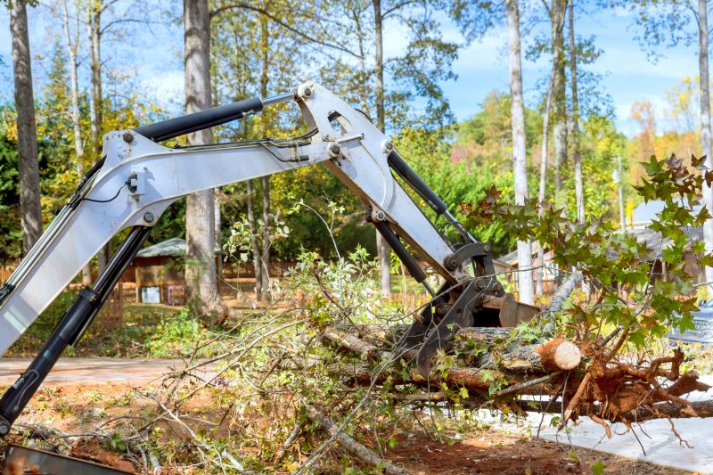 Easement Land Clearing in Gwinnett County, GA