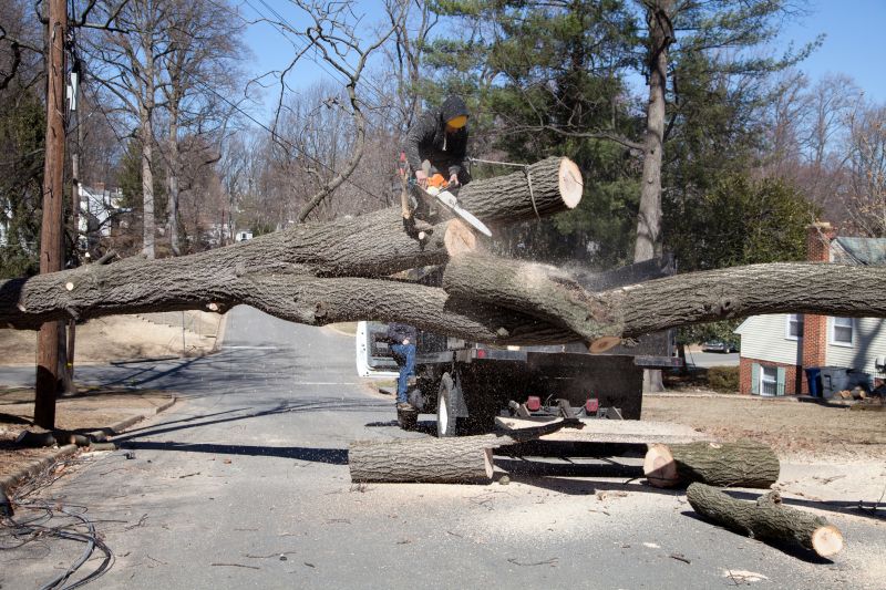 Emergency Tree Removal in Montgomery County, PA