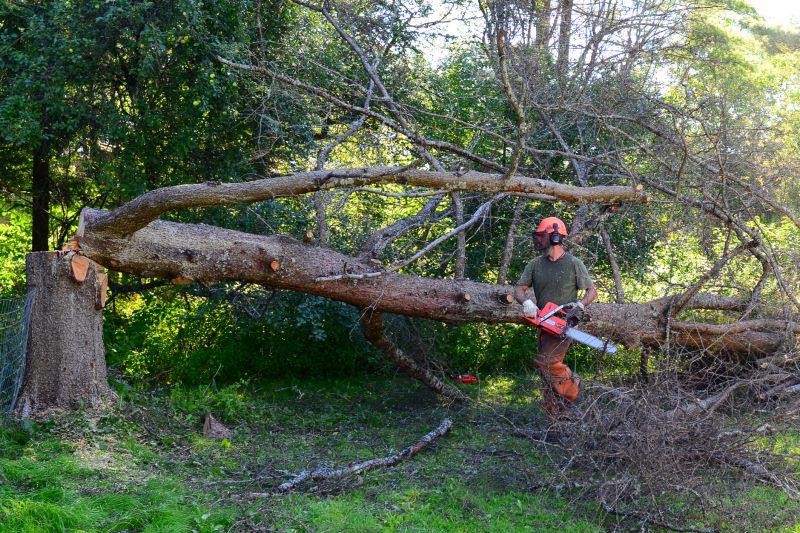 Fallen Tree Removal in Bucks County, PA