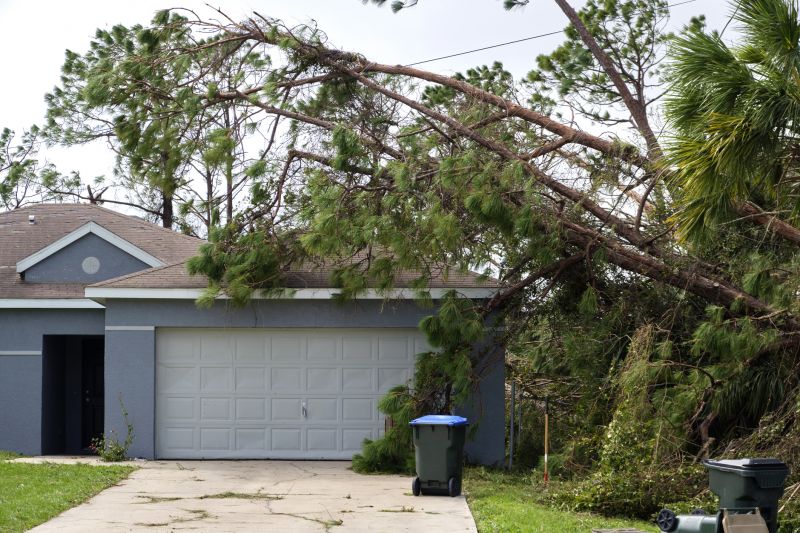 Fallen Tree Removal in Reno, NV