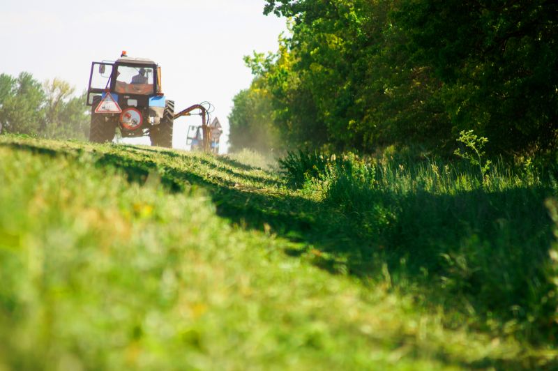 Field Clearing in Gwinnett County, GA