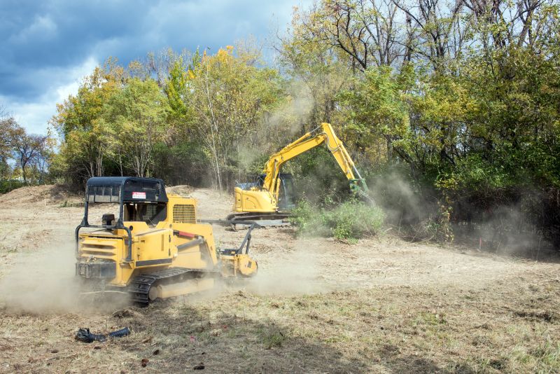 Ground Clearing in Gwinnett County, GA