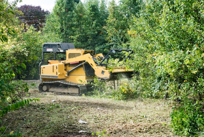 Hill Clearing in Marietta, GA