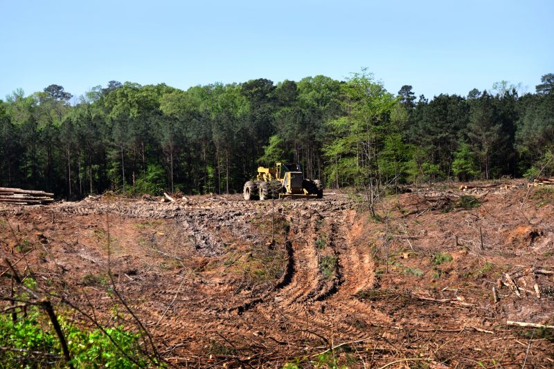 Hill Clearing in Katy, TX