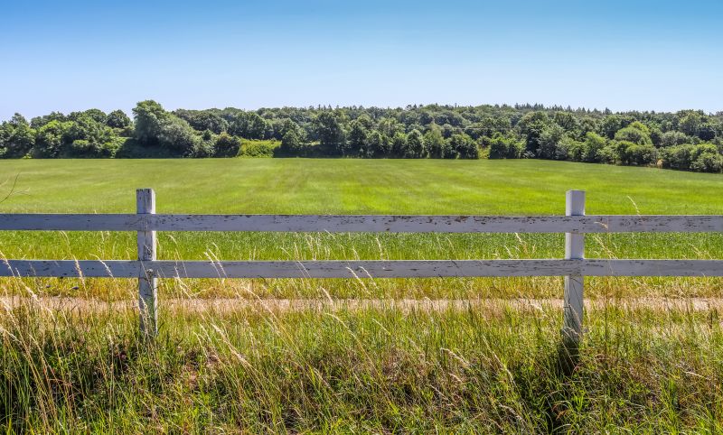 Pasture Clearing in Salt Lake City, UT