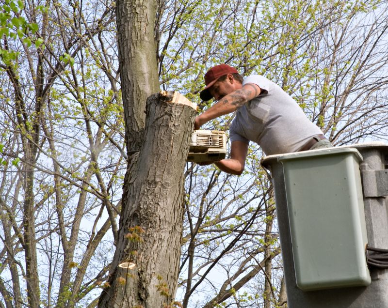 Residential Tree Service in Pottstown, PA