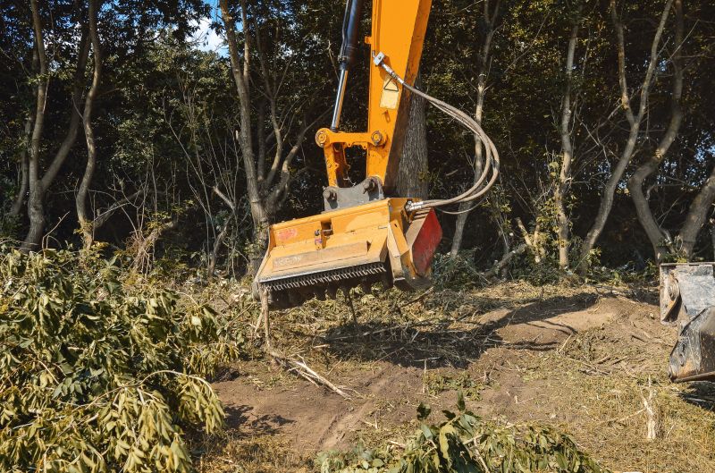 Site Cleaning in Gwinnett County, GA