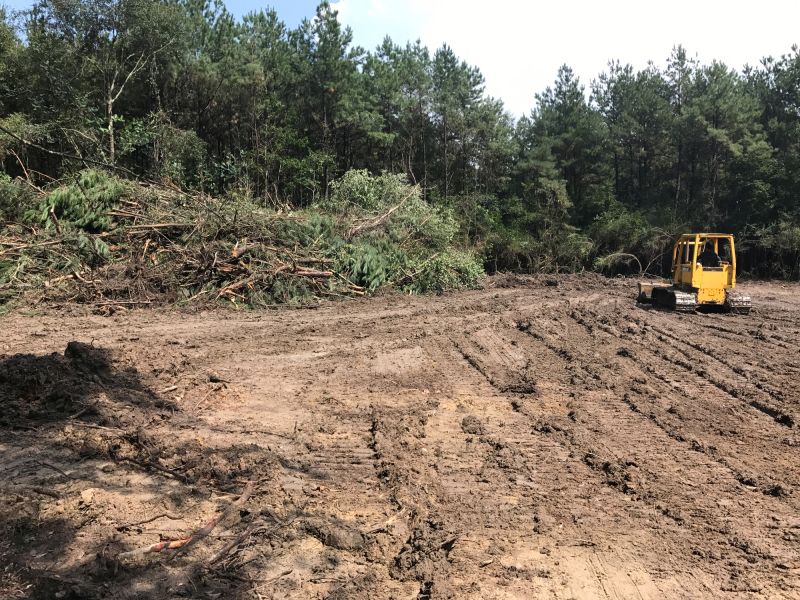 Thicket Clearing in Atlanta, GA