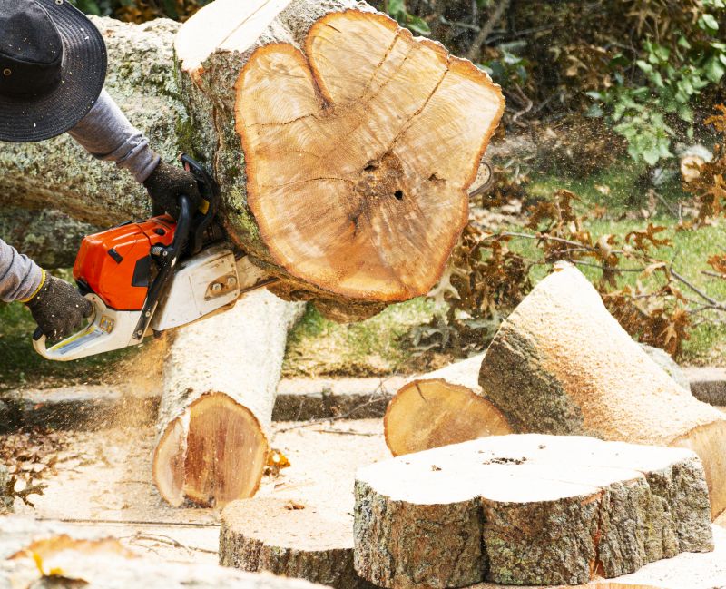 Tree Removal Service in Doylestown, PA