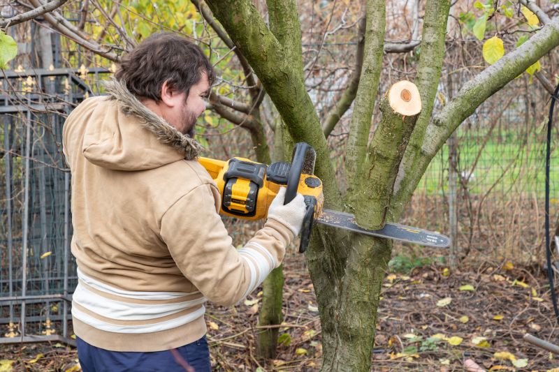 Tree Service in Reno, NV