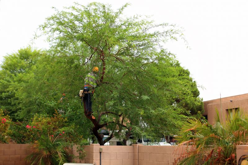 Tree Service in Pottstown, PA