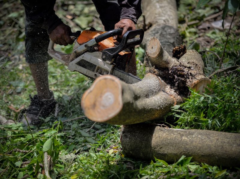 Tree Service in Pottstown, PA