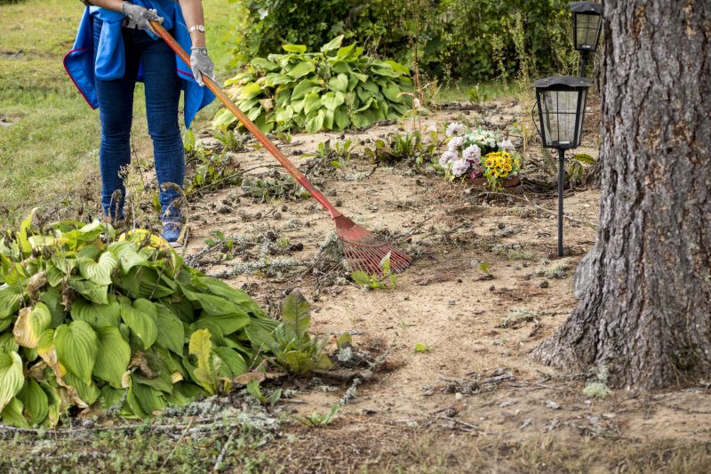 Undergrowth Removal in Atlanta, GA